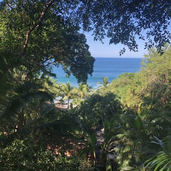 Playa Escondida - Trees, ocean and a bit of beach. - Hotels Near Me - Sayulita, NAY Playa Escondida - Trees, ocean and a bit of beach. - Hotels Near Me - Sayulita, NAY
