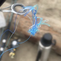 Coyote Bait and Tackle
