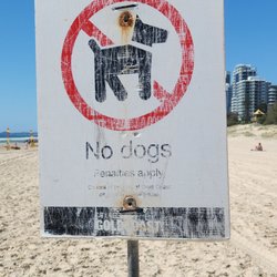 Gold Coast Surfer Oasis on Broadbeach