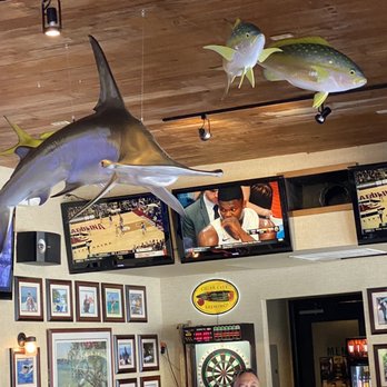 Quarterdeck Restaurants - Hammerhead eyeing Yellowtail Snapper - American Near Me - Davie, Florida