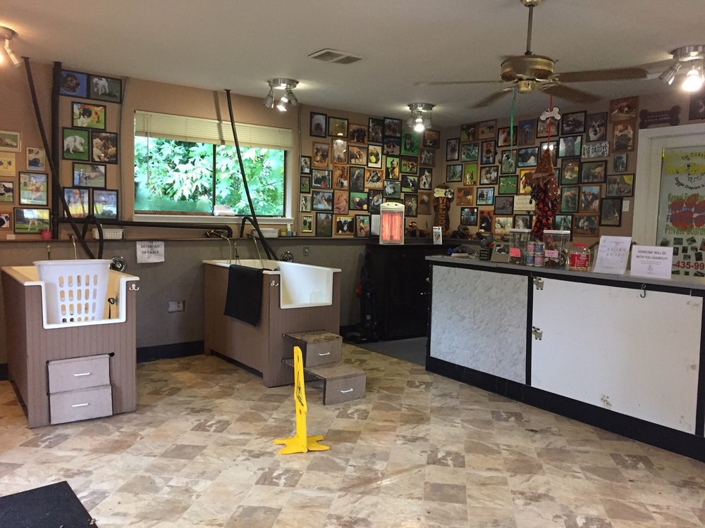 big daddy's doggie daycare