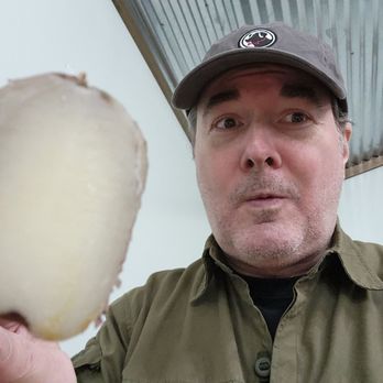 The Tackle Box - Eating Potato - Seafood Near Me - Laurel, Mississippi
