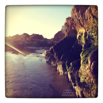 Pismo State Beach - Beaches Near Me - Oceano, California