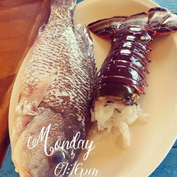 El Mirador - Catch of the day! - Beaches Near Me