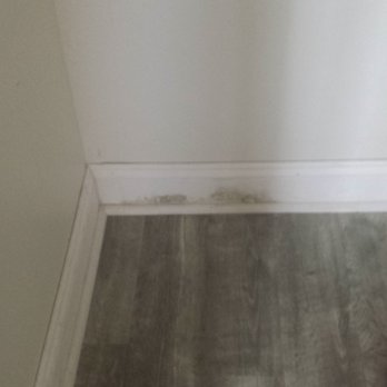 Valley Properties - Black mold. - Property Management Near Me - Hagerstown, Maryland