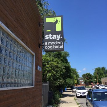 Stay Dog Hotel - Pet Groomers Near Me - Chicago, Illinois Stay Dog Hotel - Pet Groomers Near Me - Chicago, Illinois