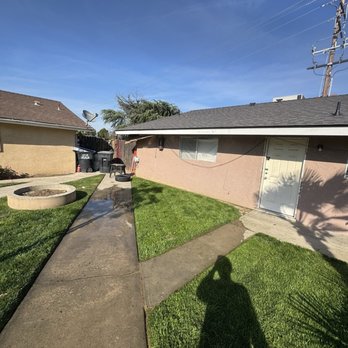 Apex Landscape Management - Life was brought back to the dead yard! - Tree Services Near Me Apex Landscape Management - Life was brought back to the dead yard! - Tree Services Near Me