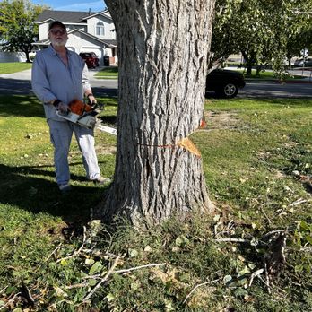 Sprayin Away - a man standing next to a tree with a chainsaw - Lawn Services Near Me - Elwood, Utah