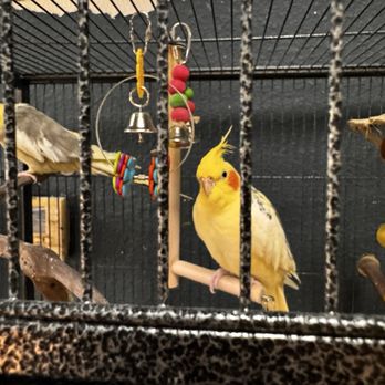 Zookeeper - Pet Stores Near Me - Austin, Texas
