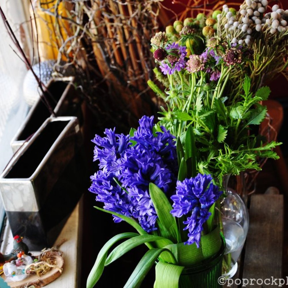 Nectar - Florists Near Me - Charlotte, North Carolina Nectar - Florists Near Me - Charlotte, North Carolina