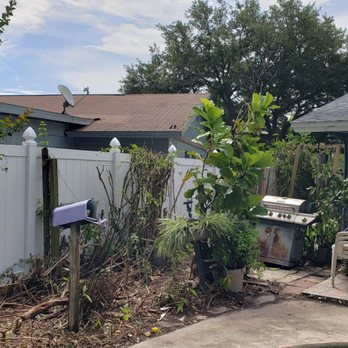 There’s a way tree service - After - Tree Services Near Me - Altamonte Springs, Florida There’s a way tree service - After - Tree Services Near Me - Altamonte Springs, Florida