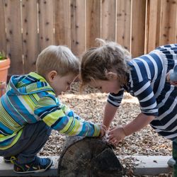 Marin Waldorf School