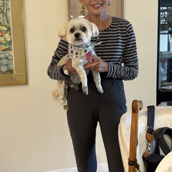 Dog City  - Great grooming. The best!