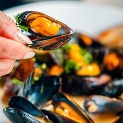 Papi's Seafood and Oyster Bar