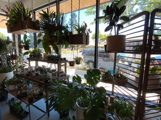 Botanical Bakeshop by null