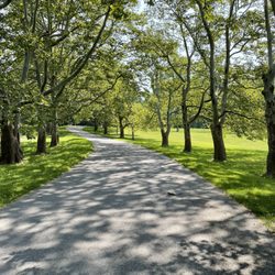 Mendon Ponds Park - Beautiful tree lines paths.