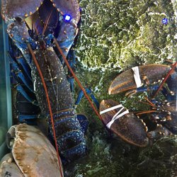 Le Bistrot de la Mer - Just choose one