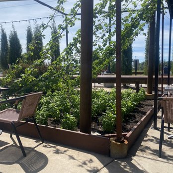 Hardware - House grown herbs! - Gastropubs Near Me - North Aurora, Illinois Hardware - House grown herbs! - Gastropubs Near Me - North Aurora, Illinois