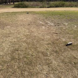 Knoxville Municipal Golf Course - Tee box