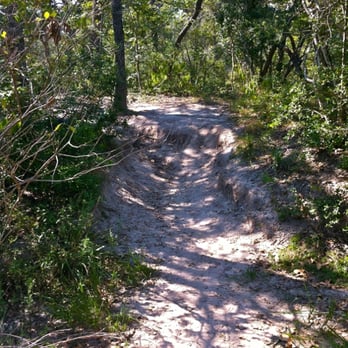 Lick Creek Park - Yaupon Loop. Although this is a small dip, it is too much for a regular stroller or wheelchair to navigate - Parks Near Me - College Station, Texas