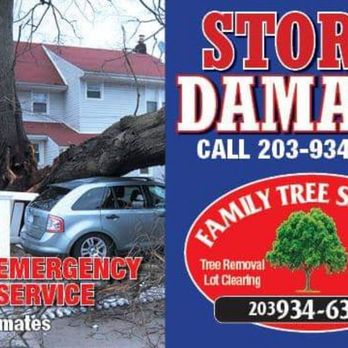 Family Tree Service - Think Family First ! - Tree Services Near Me - West Haven, Connecticut Family Tree Service - Think Family First ! - Tree Services Near Me - West Haven, Connecticut