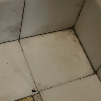 Body by Brooklyn - Roaches - Day Spas Near Me - Brooklyn, New York