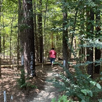 Whispering Pines Cabin by Kat - Path to the creek - Vacation Rentals Near Me - Mount Ida, Arkansas