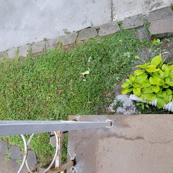 Wilson Loyalty Landscaping Services - Didn't clean up grass left in the driveway - Landscaping Near Me Wilson Loyalty Landscaping Services - Didn't clean up grass left in the driveway - Landscaping Near Me