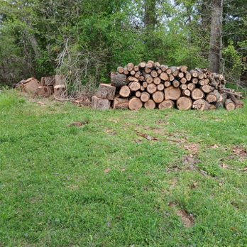 Neighbor Tree Service & More - Tree Services Near Me - Kerens, Texas Neighbor Tree Service & More - Tree Services Near Me - Kerens, Texas
