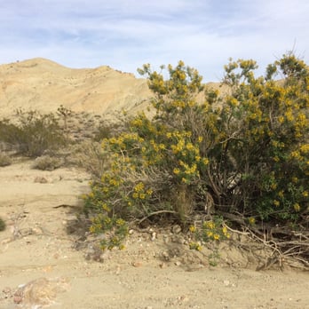 Rainbow Basin Natural Area - Landmarks & Historical Buildings Near Me - Ridgecrest, California Rainbow Basin Natural Area - Landmarks & Historical Buildings Near Me - Ridgecrest, California