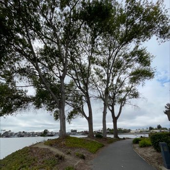 Public Shoreline Trail - Hiking Near Me - Alameda, California Public Shoreline Trail - Hiking Near Me - Alameda, California