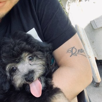 Dog Wash Pros - Bronx is happy!! - Pet Groomers Near Me