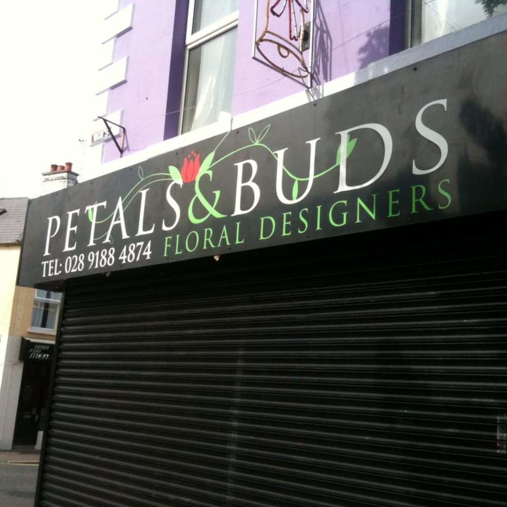 Petals & Buds - Florists Near Me - Donaghadee, ARD
