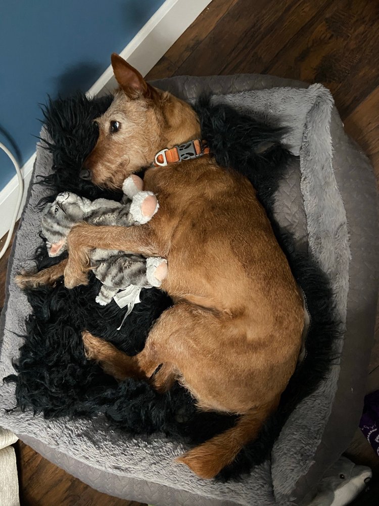 MURABELLA ANIMAL HOSPITAL Updated September 2024 37 Photos & 15