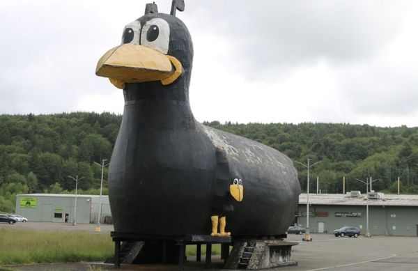 Yard Birds Mall & Storage by null