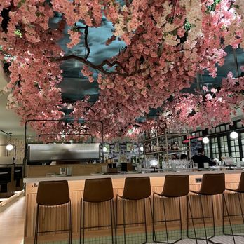 AMBAR Restaurant, Capitol Hill - Cherry blossom decoration - Modern European Near Me - Washington, DC, District of Columbia AMBAR Restaurant, Capitol Hill - Cherry blossom decoration - Modern European Near Me - Washington, DC, District of Columbia
