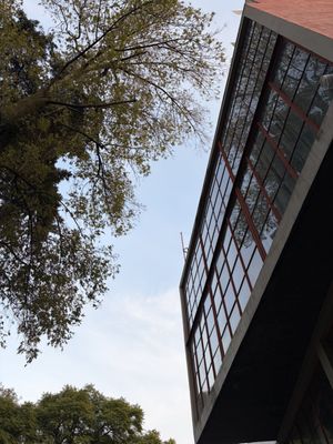 Museo Casa Estudio Diego Rivera y Frida Kahlo by null