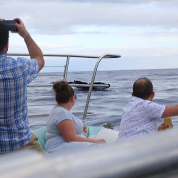Sea Maui - Boat Charters Near Me - Lahaina, Hawaii Sea Maui - Boat Charters Near Me - Lahaina, Hawaii