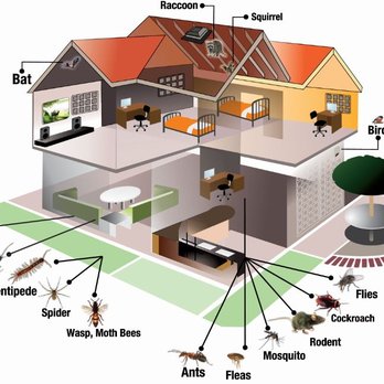 1. New Leaf Pest Control