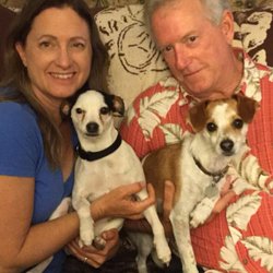 Quality Animal Chiropractic