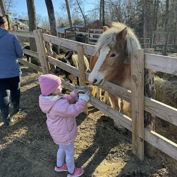 Darby Acres Farm - Zoos Near Me - Charlotte, North Carolina