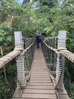 Eden Project by null