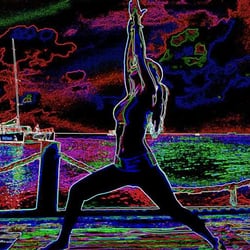 Bodies In Motion
