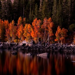 The Eadington Gallery - Art photography tahoe city