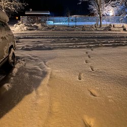 Got a lil snow