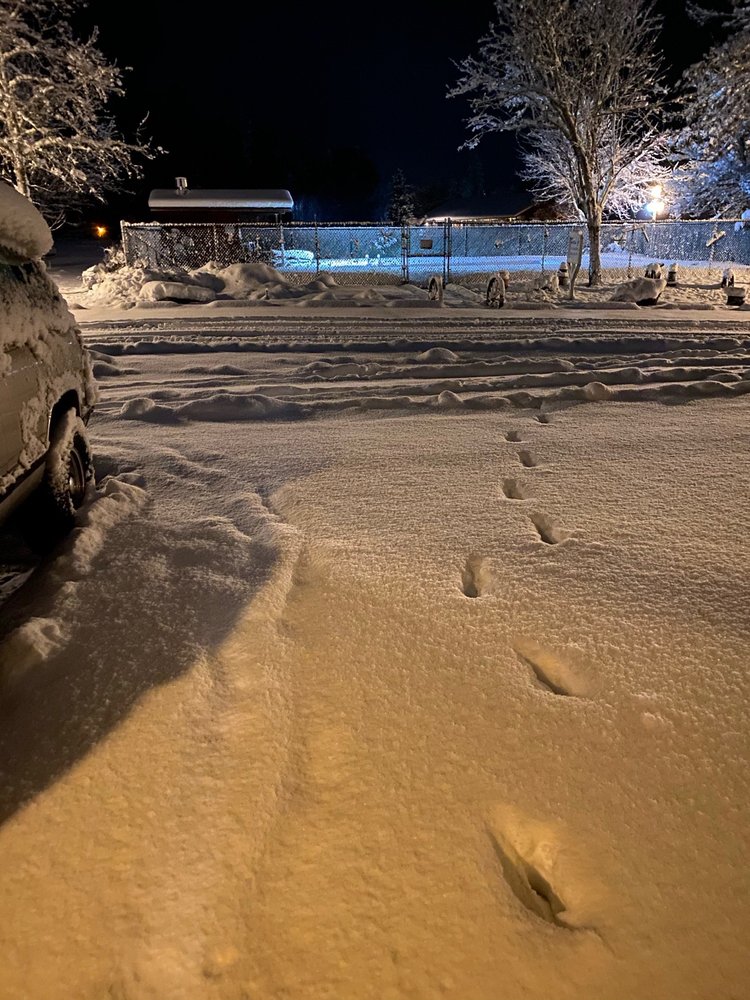 LEWISTON VALLEY MOTEL Updated October 2024 10 Photos & 15 Reviews