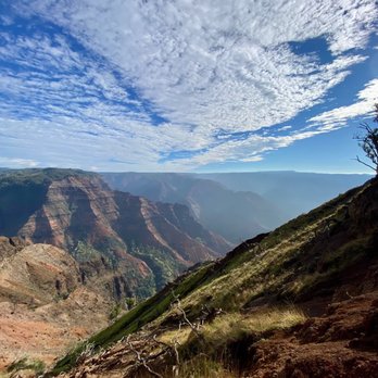 Noah's Ark Kauai Tours - Travel Services Near Me Noah's Ark Kauai Tours - Travel Services Near Me