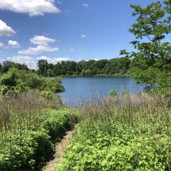 Falls Township Community Park