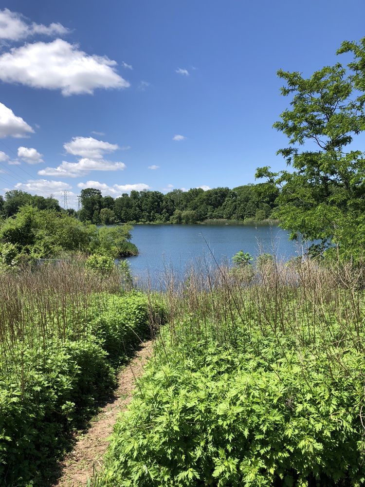 FALLS TOWNSHIP COMMUNITY PARK 9061 Mill Creek Rd, Levittown