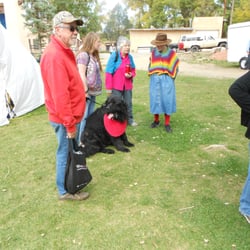 Wool Festival at Taos